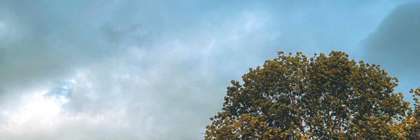 SILKDURAG Profile Banner