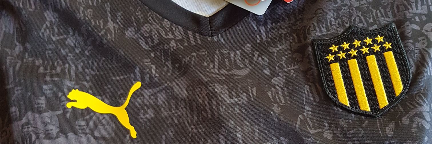 stefanicambon's profile banner image