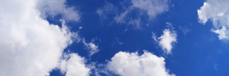 _niavasquez's profile banner image