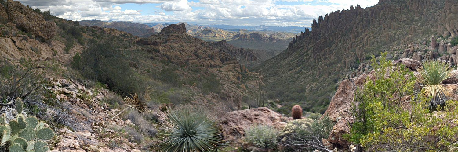 Andrew 'Do NOT Fly American Airlines' Burchill banner