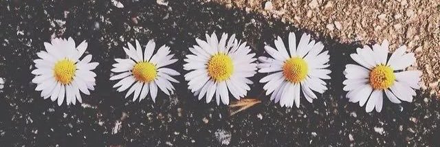 jlynndowler's profile banner image