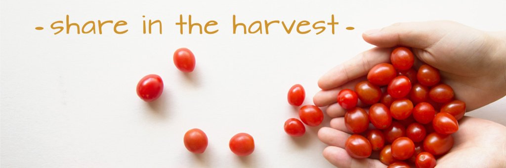 celestial_manna's profile banner image