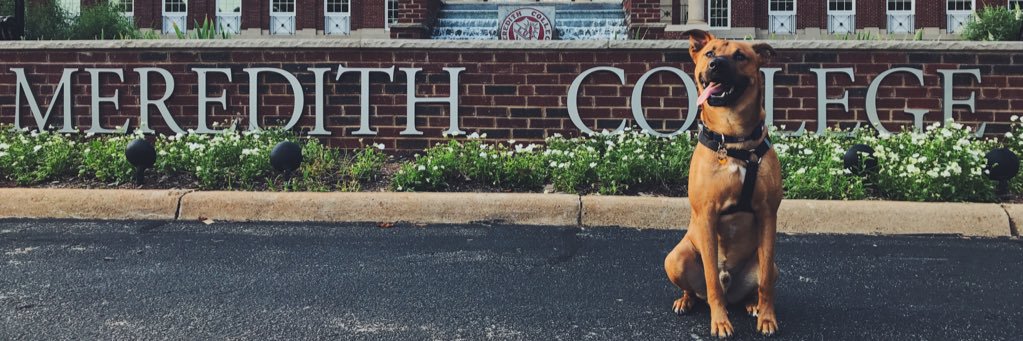 kjaesmith's profile banner image