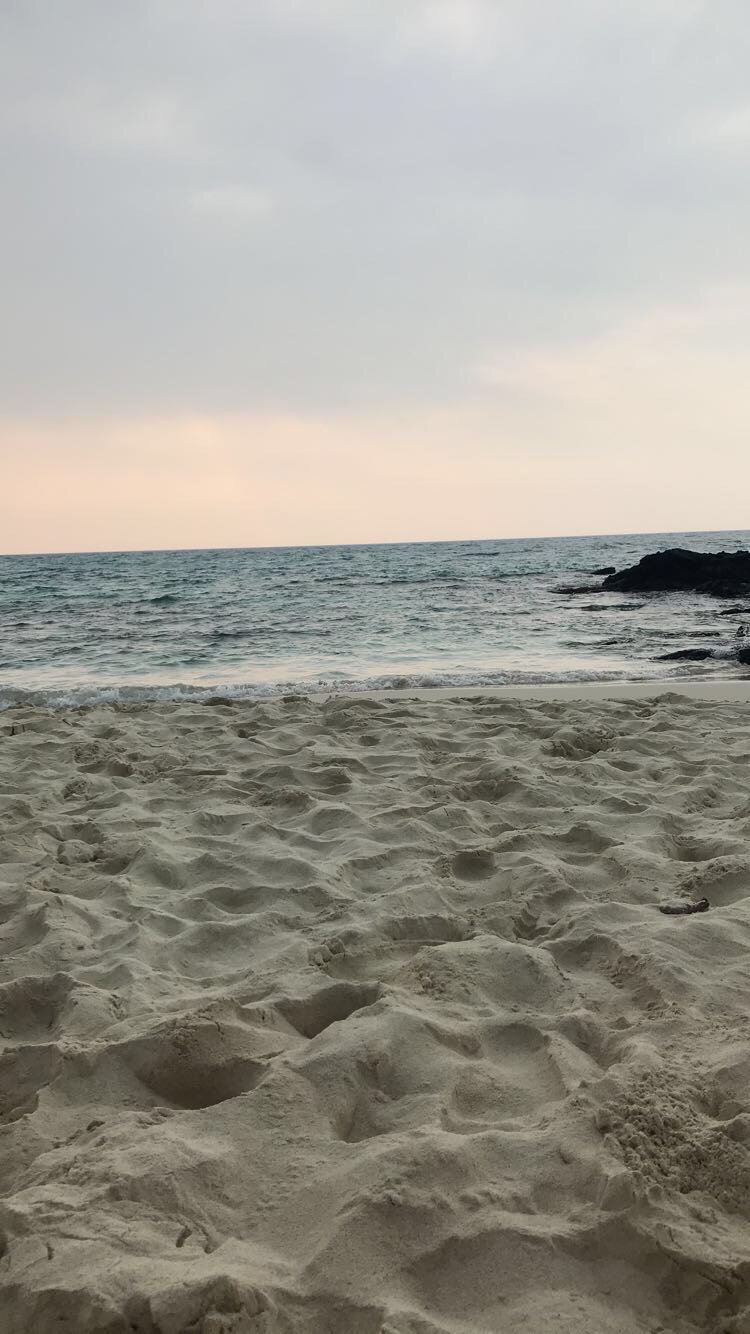 ShannonReny's profile banner image