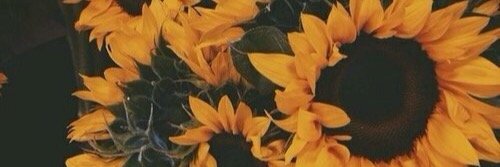 BellaGouldd_'s profile banner image