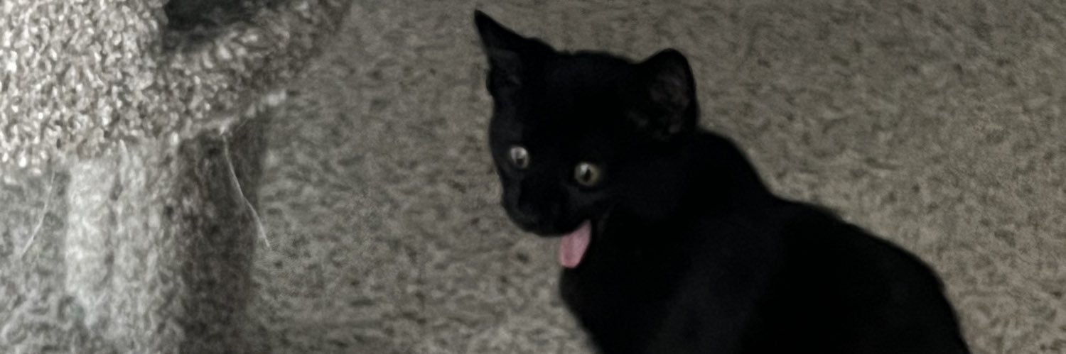 yeahitsmariee's profile banner image