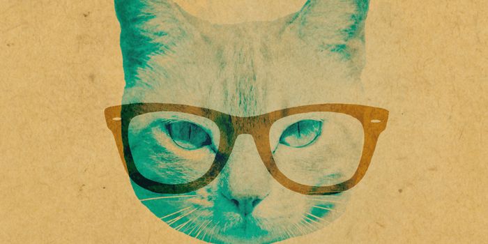 jyo1038's profile banner image
