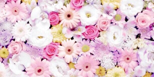 ___chun_chun's profile banner image