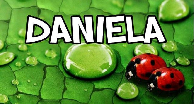 anielsk714's profile banner image