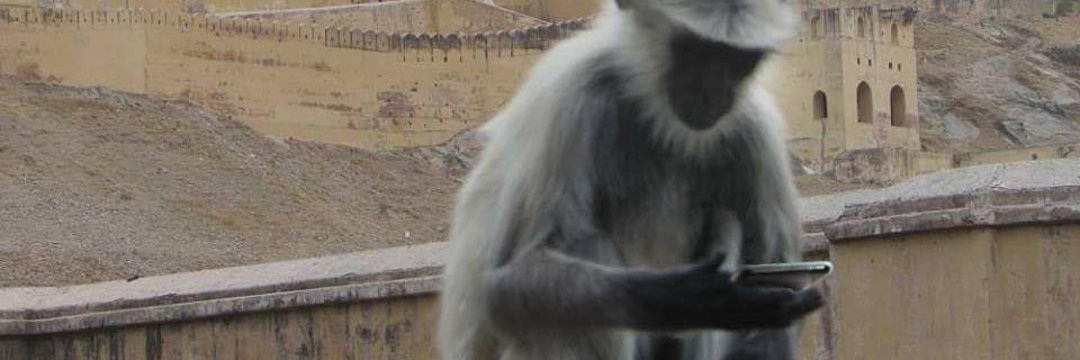 Marshall Beach 19th St banner