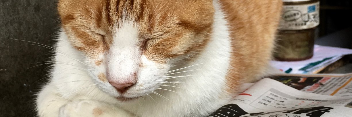 ymzknk's profile banner image