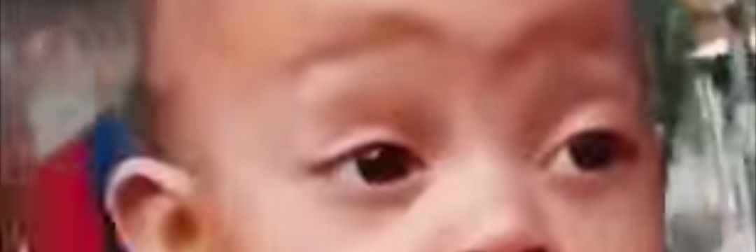 adevogado banner