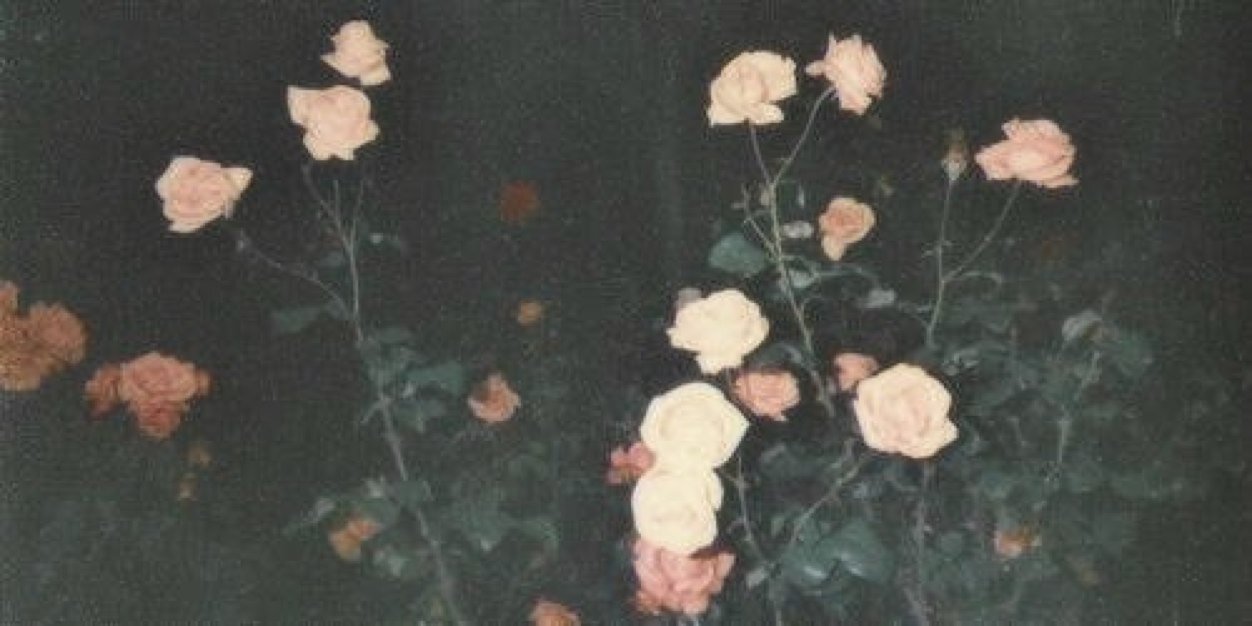 sourtimee's profile banner image