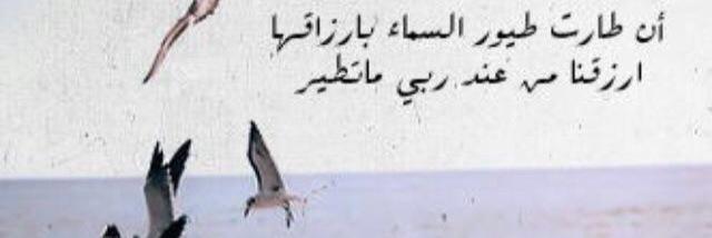 egy682's profile banner image