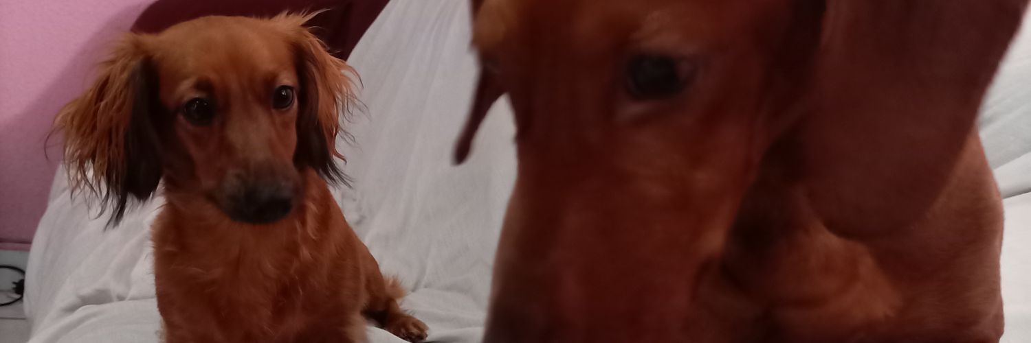MerciCueto's profile banner image