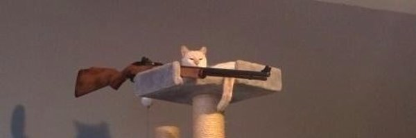 Wariovor's profile banner image