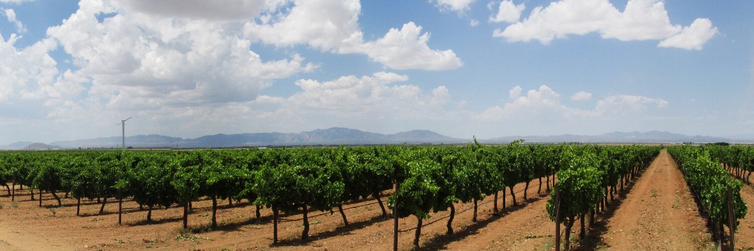 willcoxwines's profile banner image