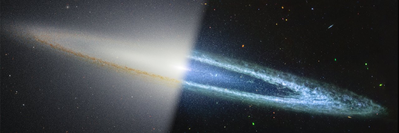 David García 🔭's banner