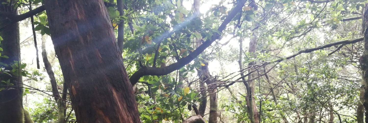 sonialopezlu's profile banner image