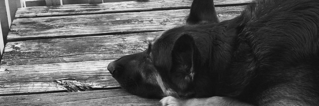 TylerBeebe35's profile banner image