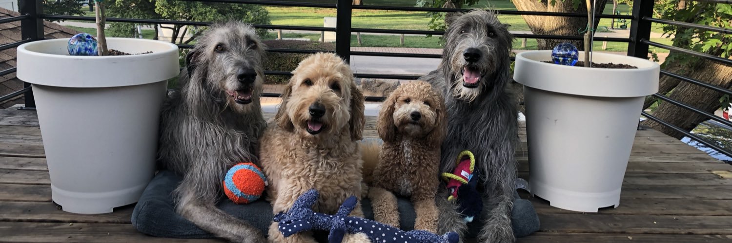 NelsonTheDoodle's profile banner image
