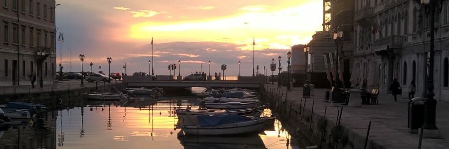 lucianofantini's profile banner image