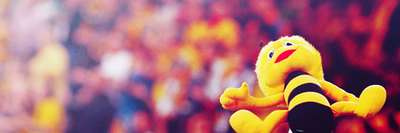 Roksana_eM's profile banner image