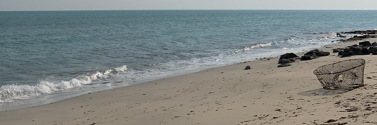 14iuw's profile banner image