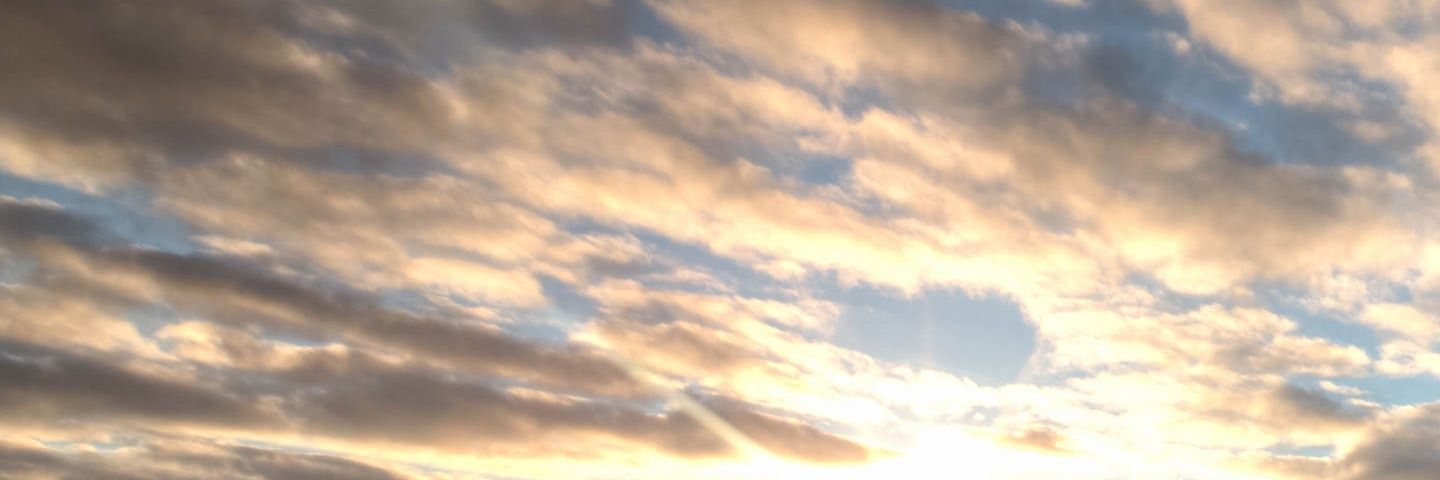 zeynepkopuklu's profile banner image