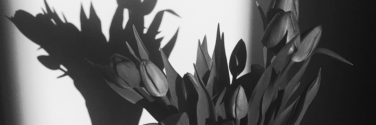 nymphatska's profile banner image