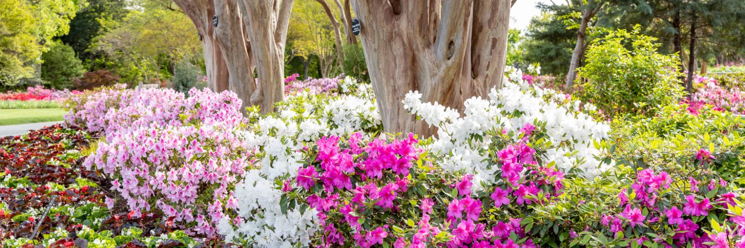 Dallas Arboretum banner