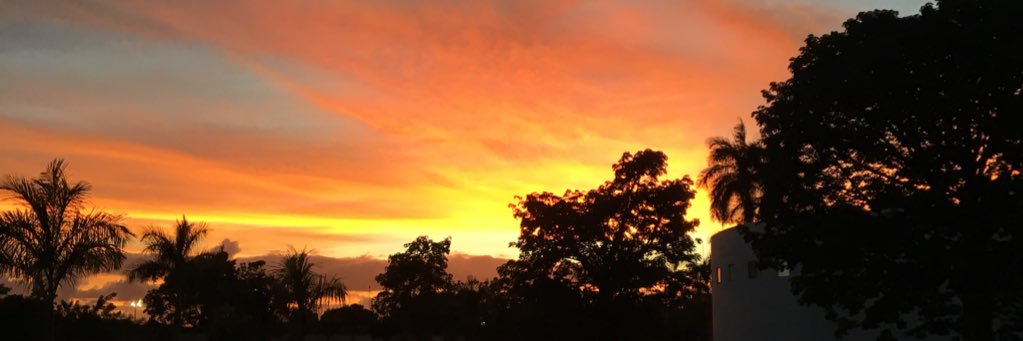 ivanirarceo's profile banner image