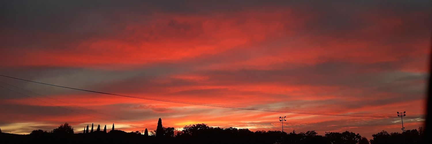 Nikki Phoenix banner