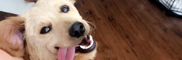 morganmil's profile banner image