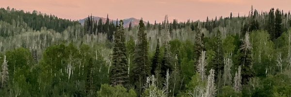 dmcquivey Profile Banner