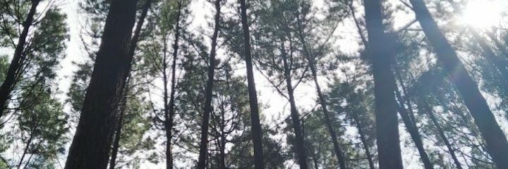 Daina1399's profile banner image
