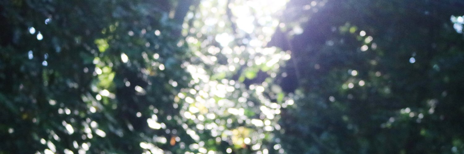 mirinuuu's profile banner image