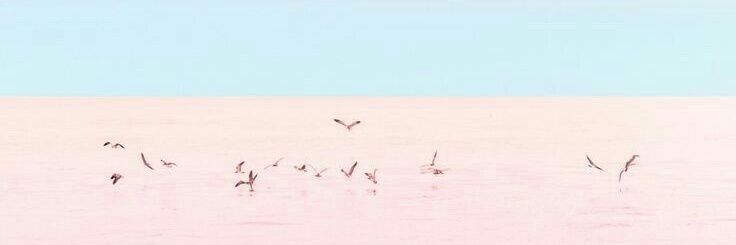 🌸💐🌷 banner