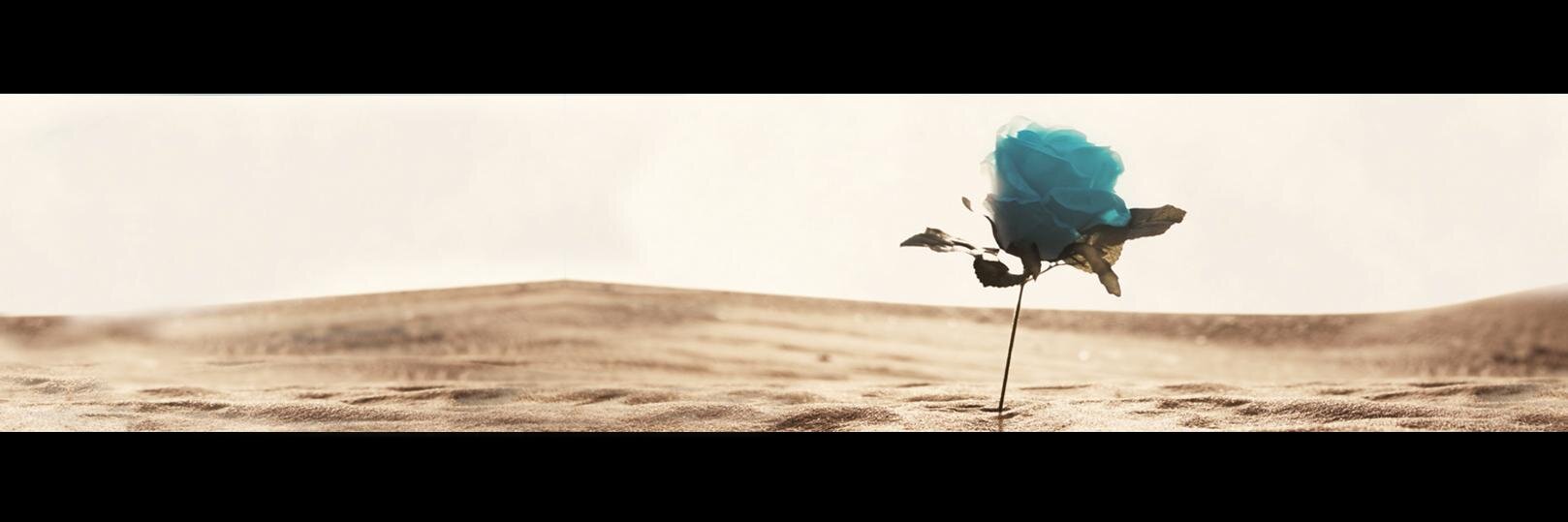 Folaim's profile banner image