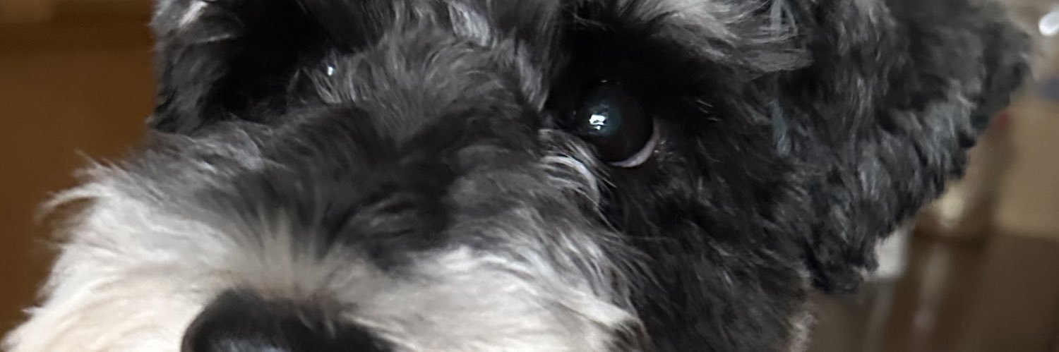mika200814's profile banner image
