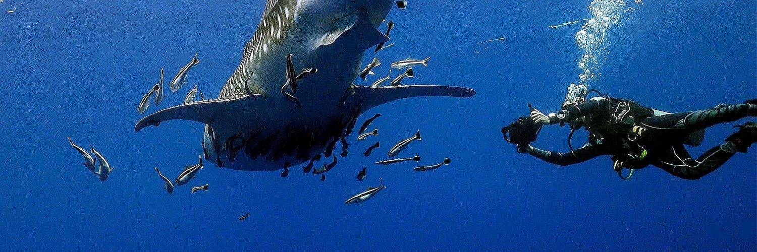 Crystal Images banner