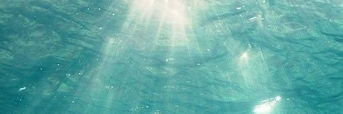 Ellebanna96's profile banner image
