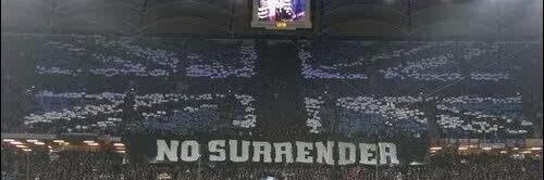 Harry Bache banner