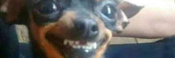 lmsposito Profile Banner