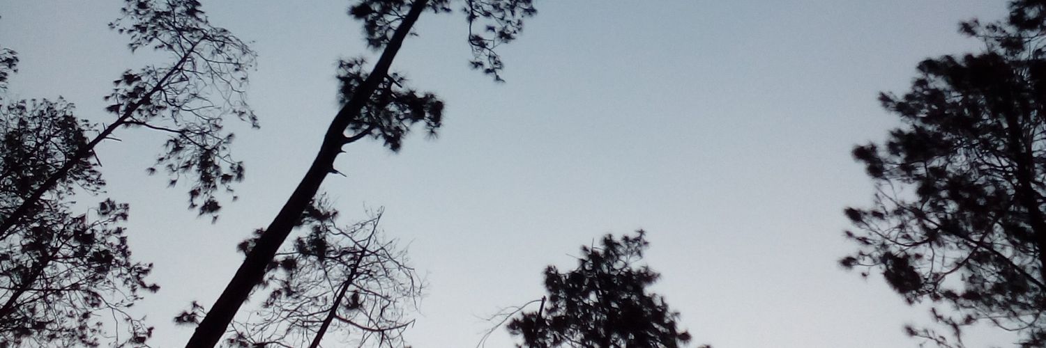 _ehras's profile banner image