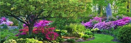 Tessie806's profile banner image