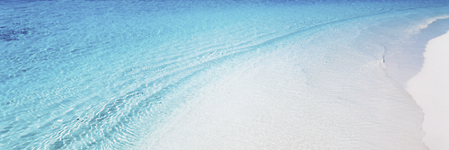 EmmaRPGWH's profile banner image