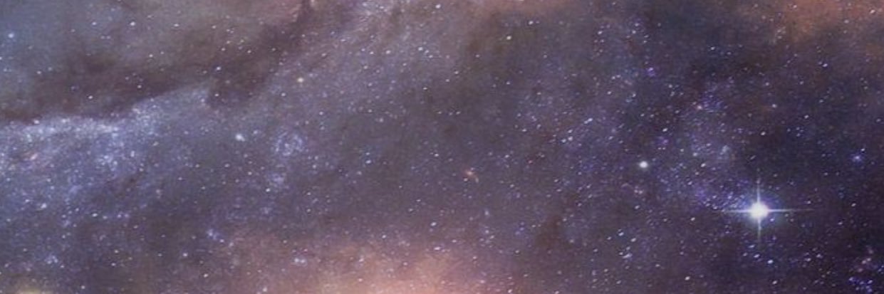 ʀɪᴄᴏ 🥇 banner