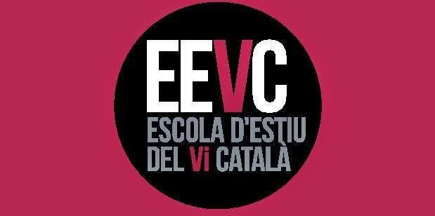 EscolaViCatala's profile banner image