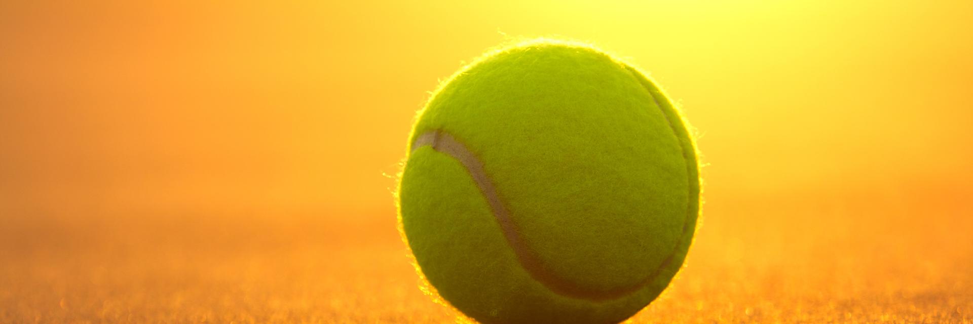 royhinkis's profile banner image